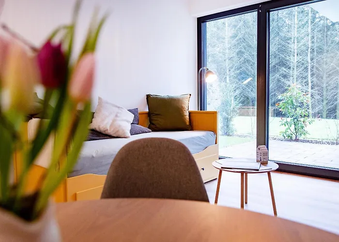 Naturnest Eifel, Lejlighed Daun